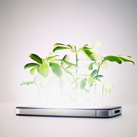 A smartphone with greens sprouting from its screen.