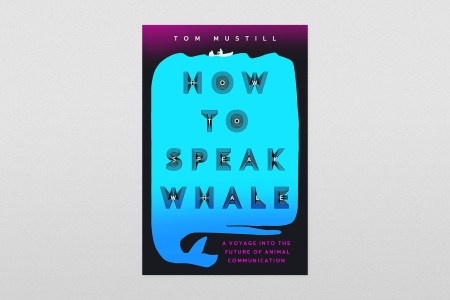 How to Speak Whale