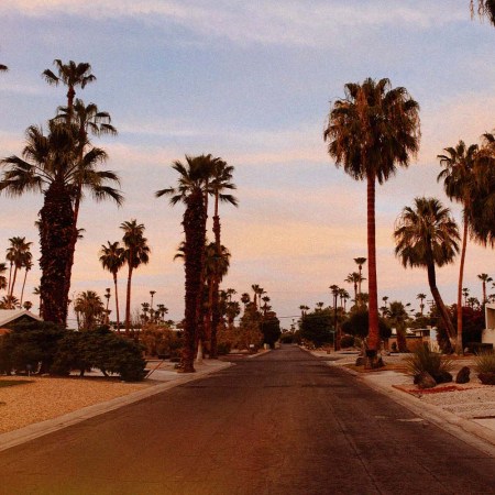 Palm trees and suburban road