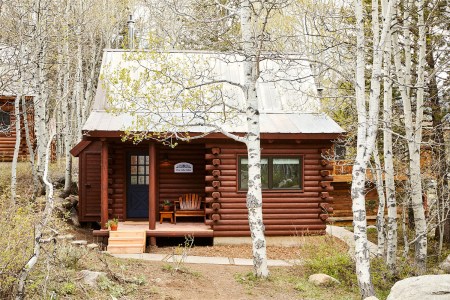 Wylder Hope Valley Roomy Cabin exterior