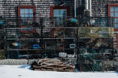 Lobster traps on a dock in Castine, Maine. Lobsters are at risk from climate change in the Gulf of Maine.