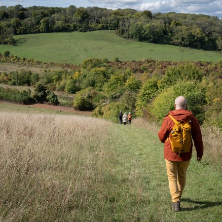 An elderly man walking through the countryside. A new study suggests exercising could benefit not just your children, but your grandchildren as well.