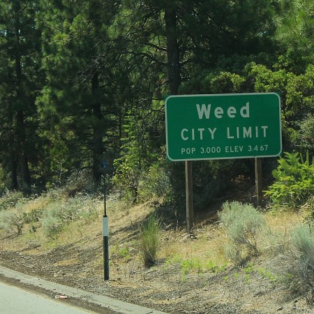 Weed, California