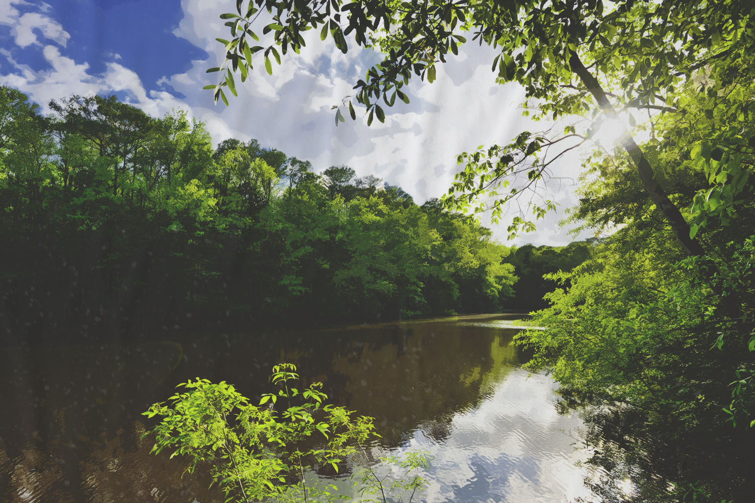 Congaree National Park