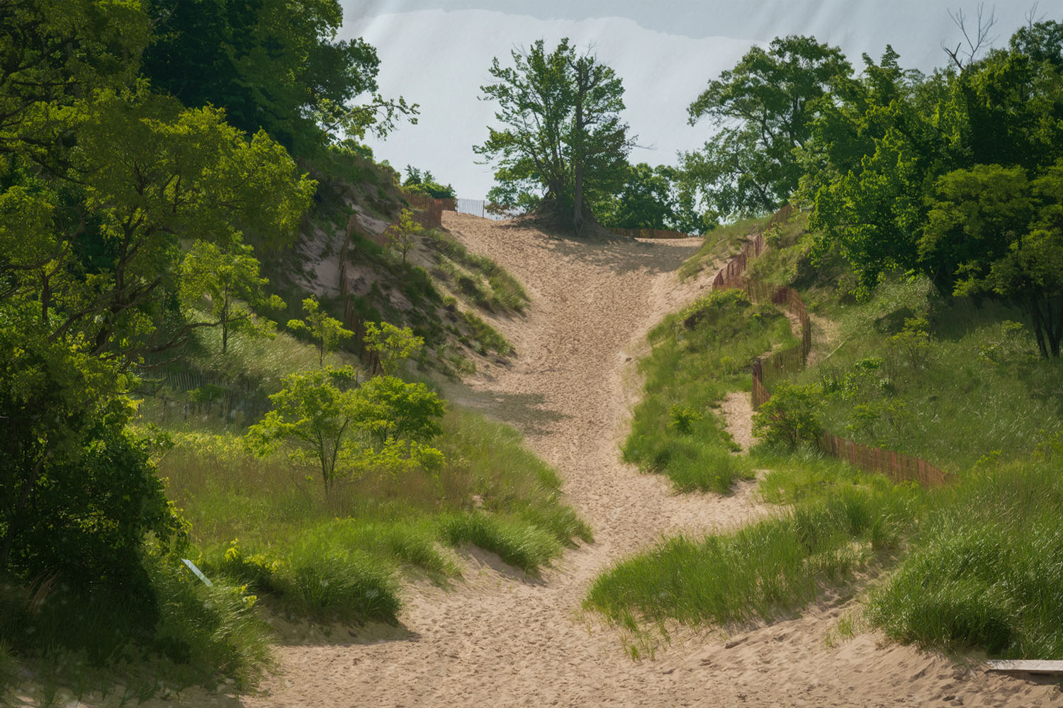 Indiana Dunes National Park