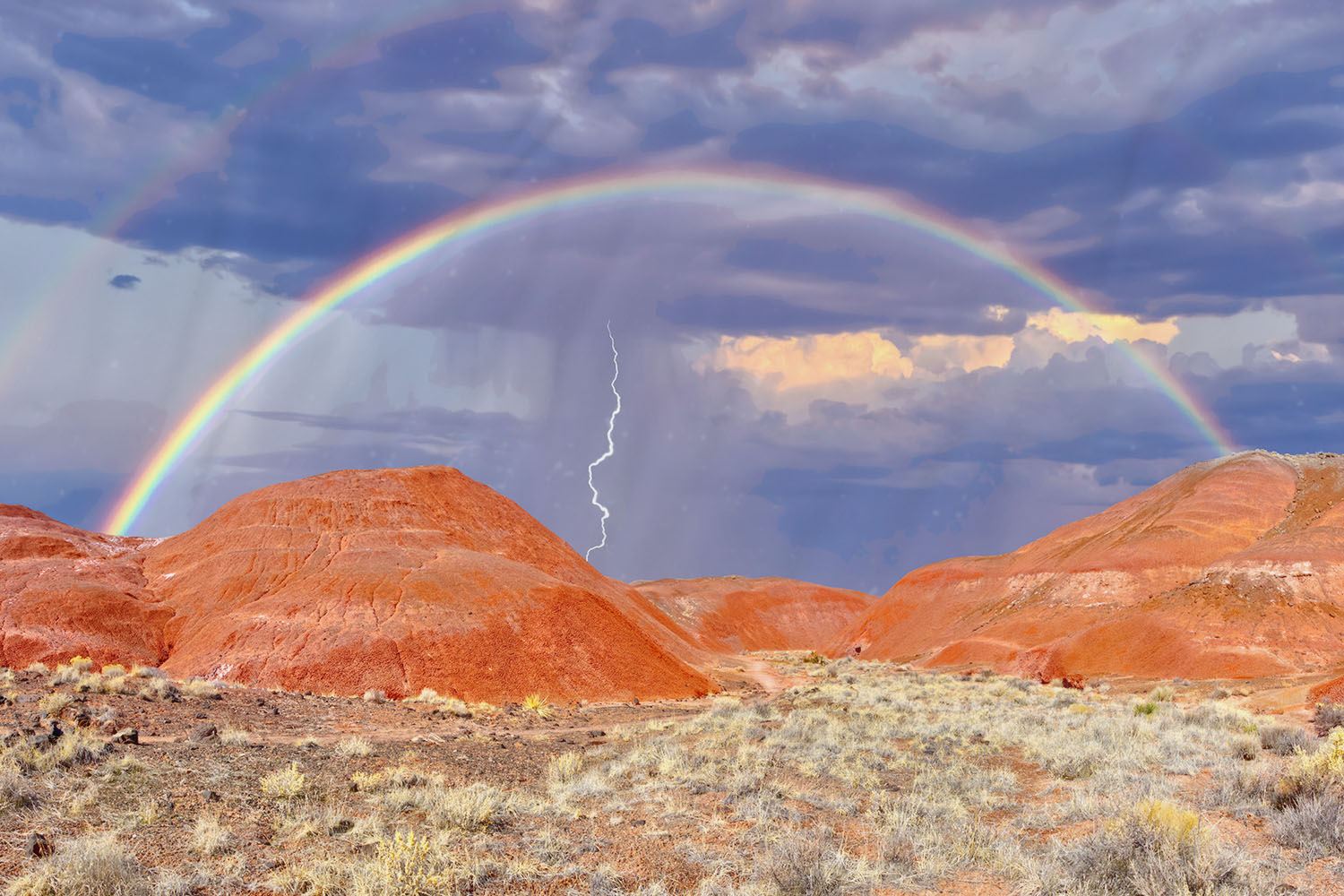 Petrified Forest National Park