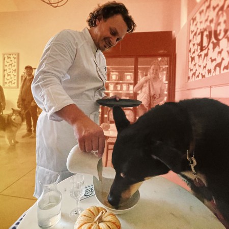 Chef Rahmi Massarweh dishing up soup to a dog at Dogue's Bone Appetit Cafe in San Francisco