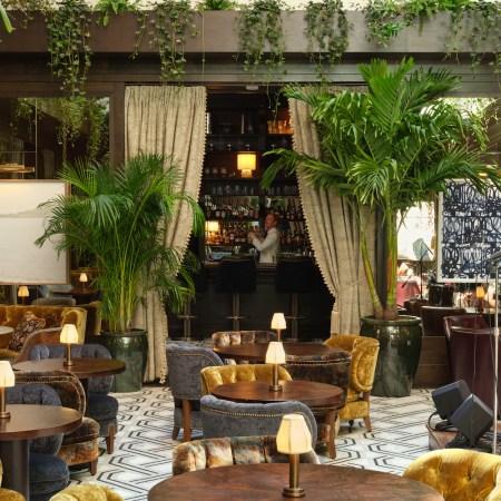 the plant-filled atrium at the ned new york