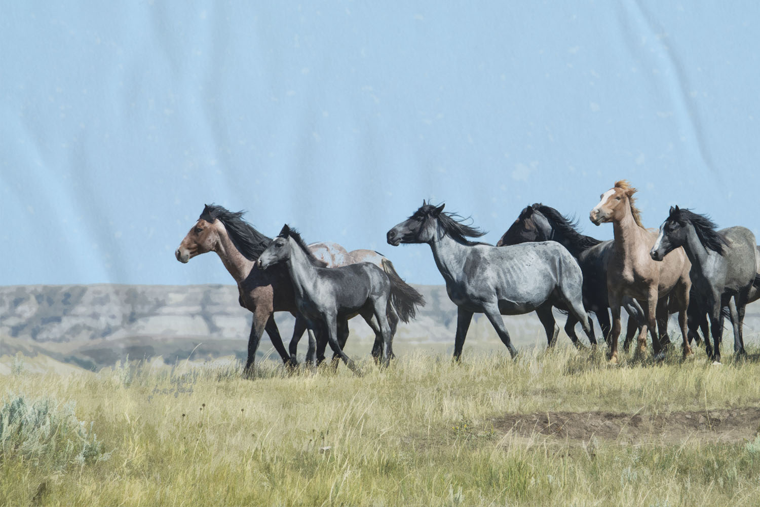 Theodore Roosevelt National Park