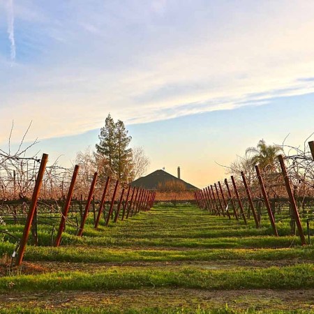 An outside shot of Acquiesce Vineyards & Winery in Lodi, an area that's increasingly influential in winemaking