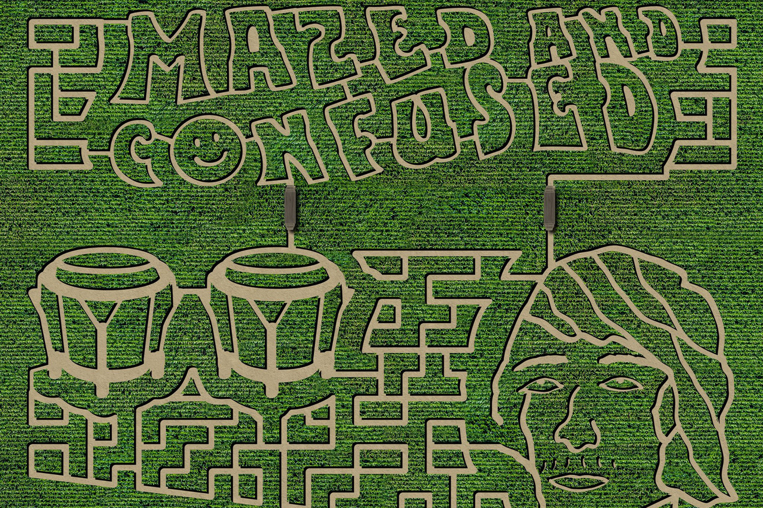 Barton Hill Farms maze