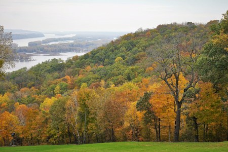 View Of Trees On Field Against Sky During Autumn, Galena Illinois