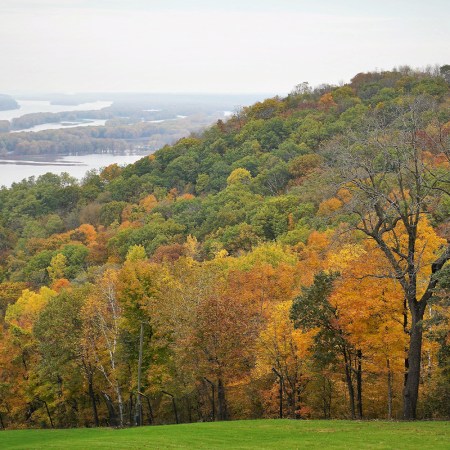 View Of Trees On Field Against Sky During Autumn, Galena Illinois