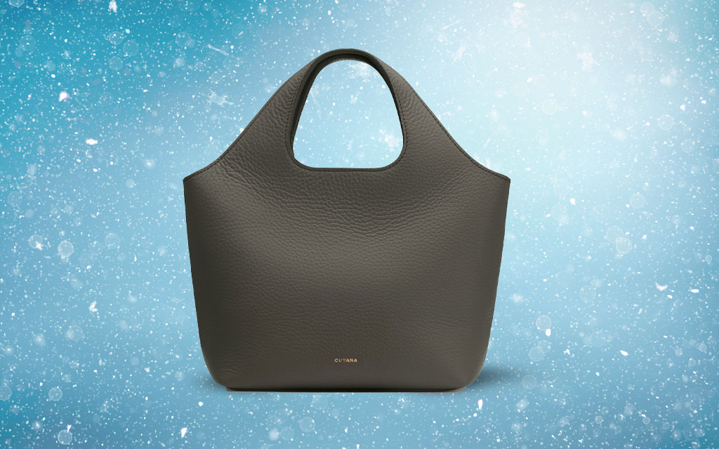 Cuyana Mini System Tote