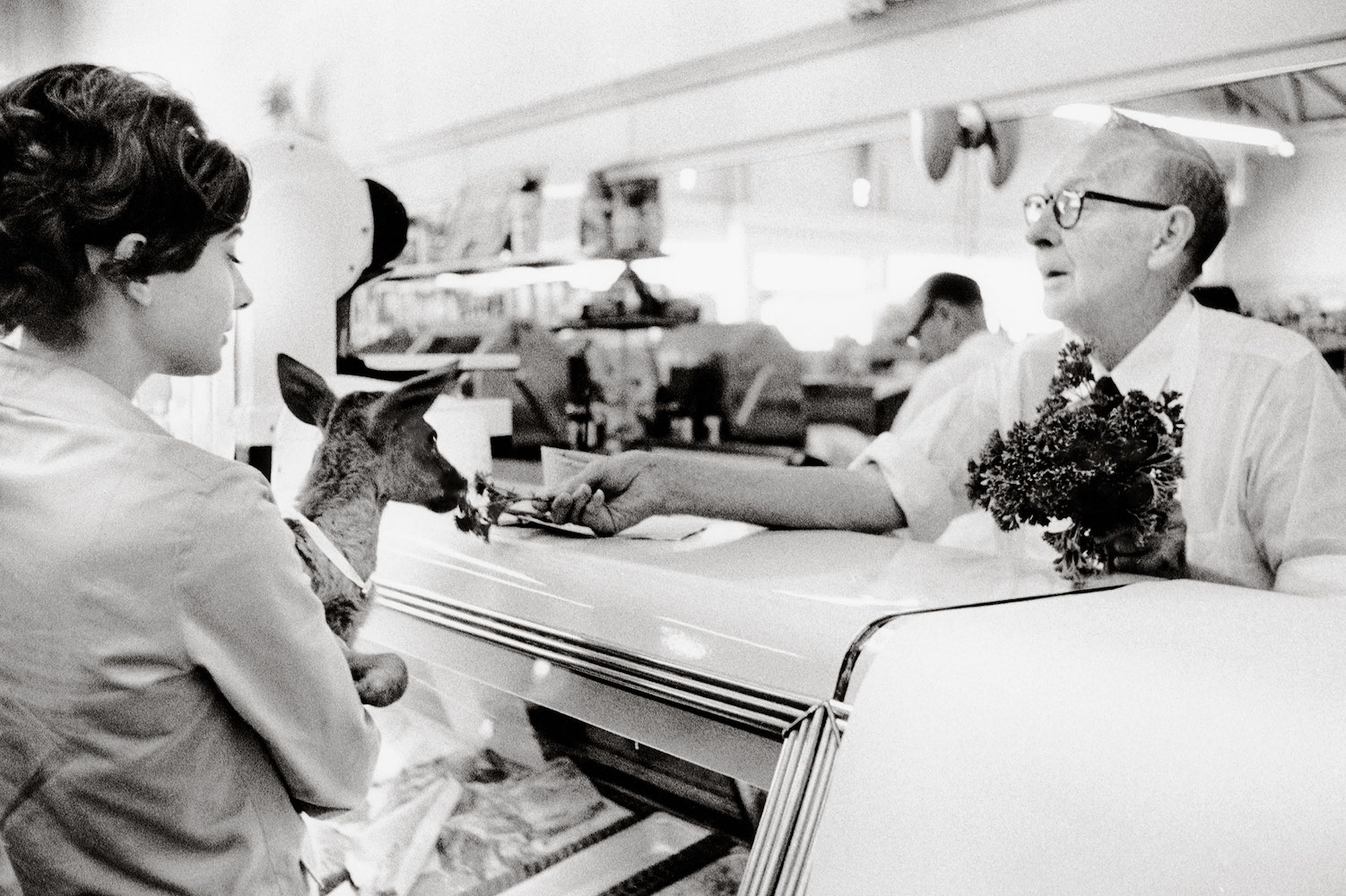 audrey hepburn holding her fawn at the butcher shop