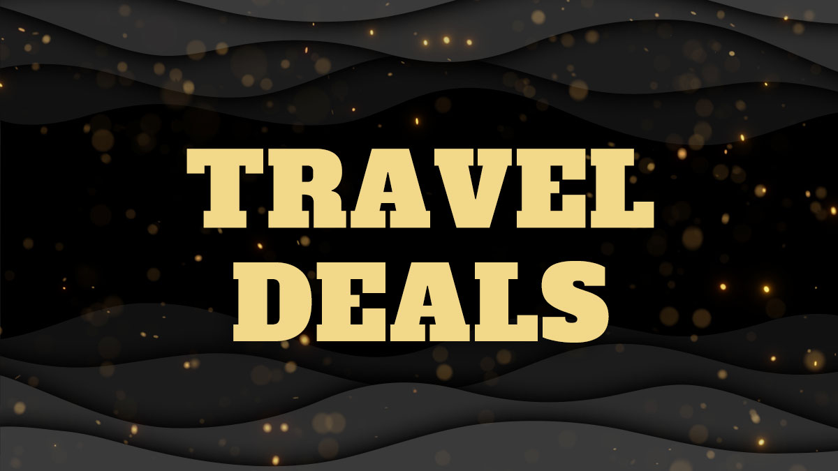 a black friday travel banner