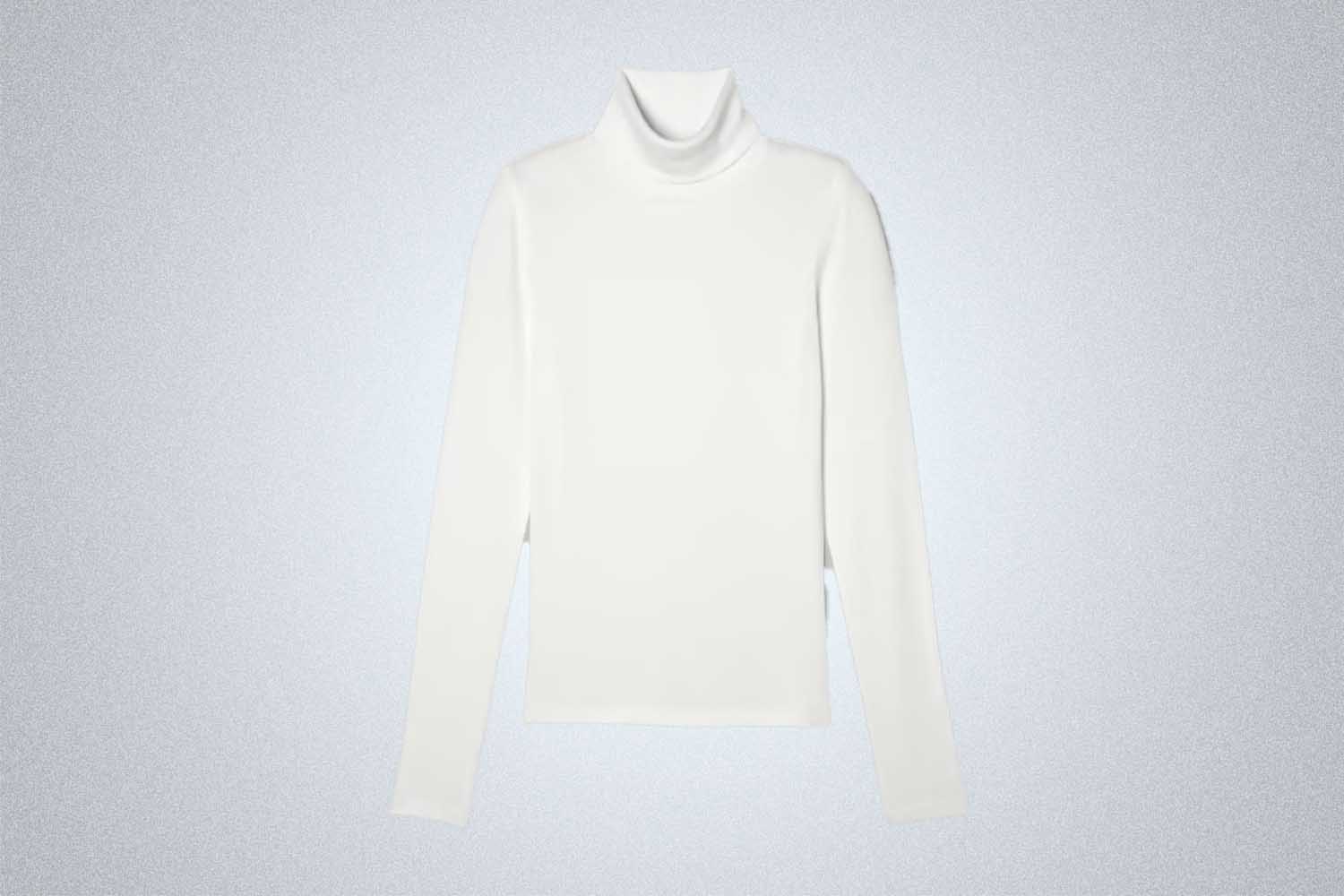 Everlane Pima Micro-Rib Turtleneck