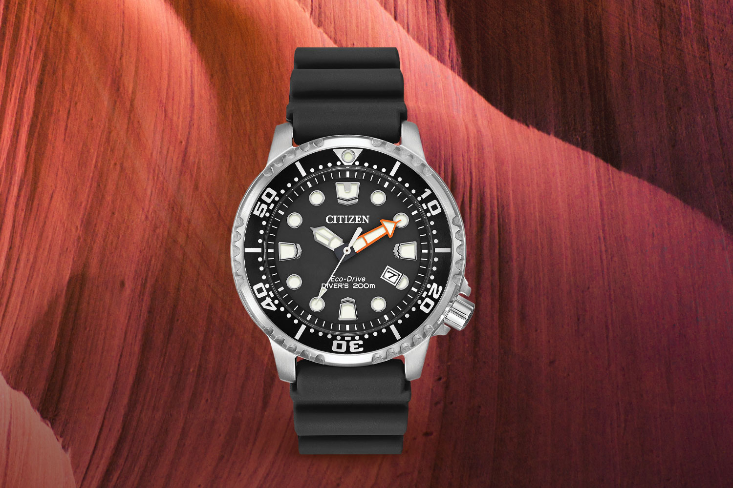 Promaster Professional Diver