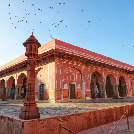 Birds flying in a blue sky above the Pink City of Jaipur, India, one of the stops on our travel writer's tour of India and Nepal