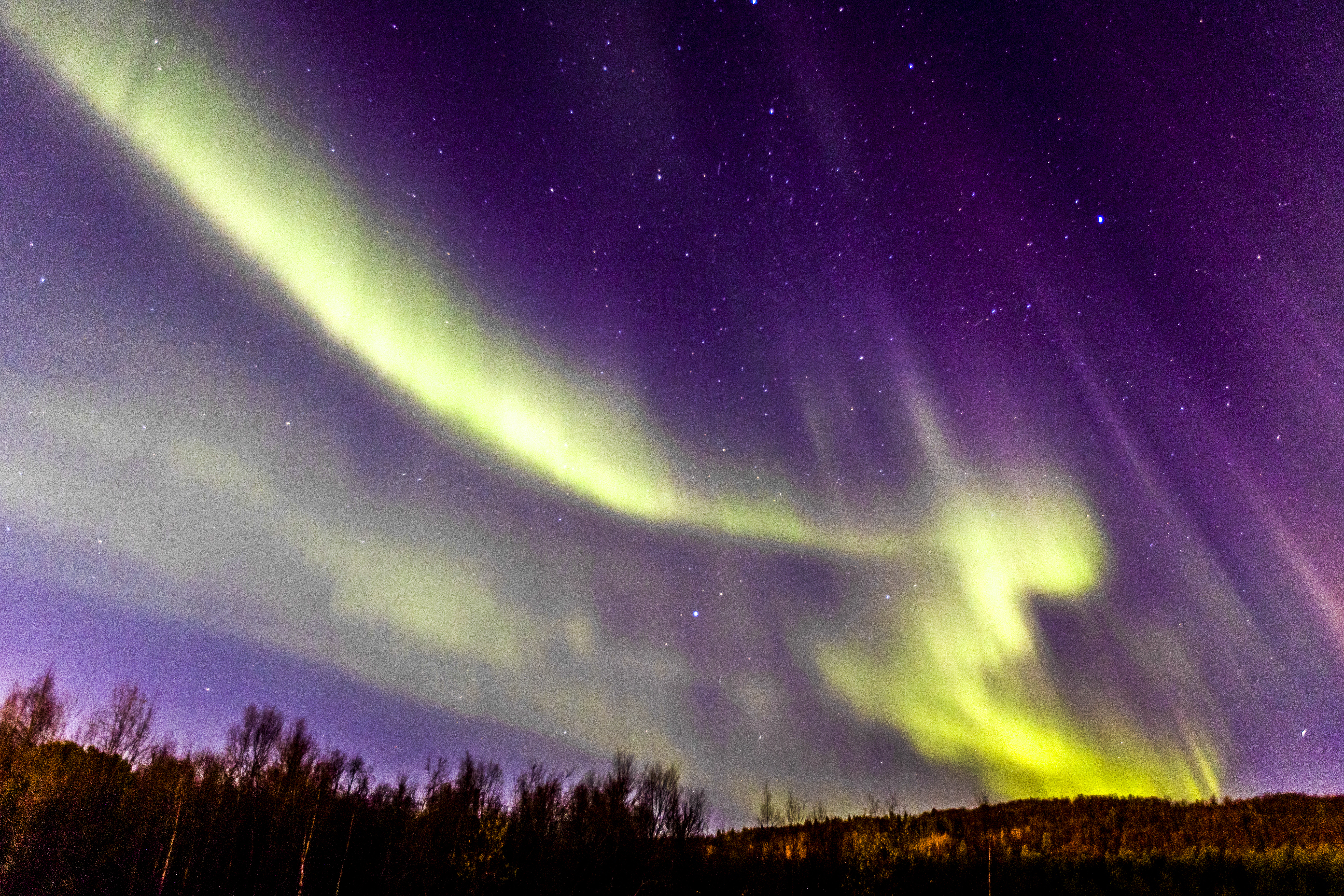 A shot of the nothern lights in a night sky in the Aurora Zone.