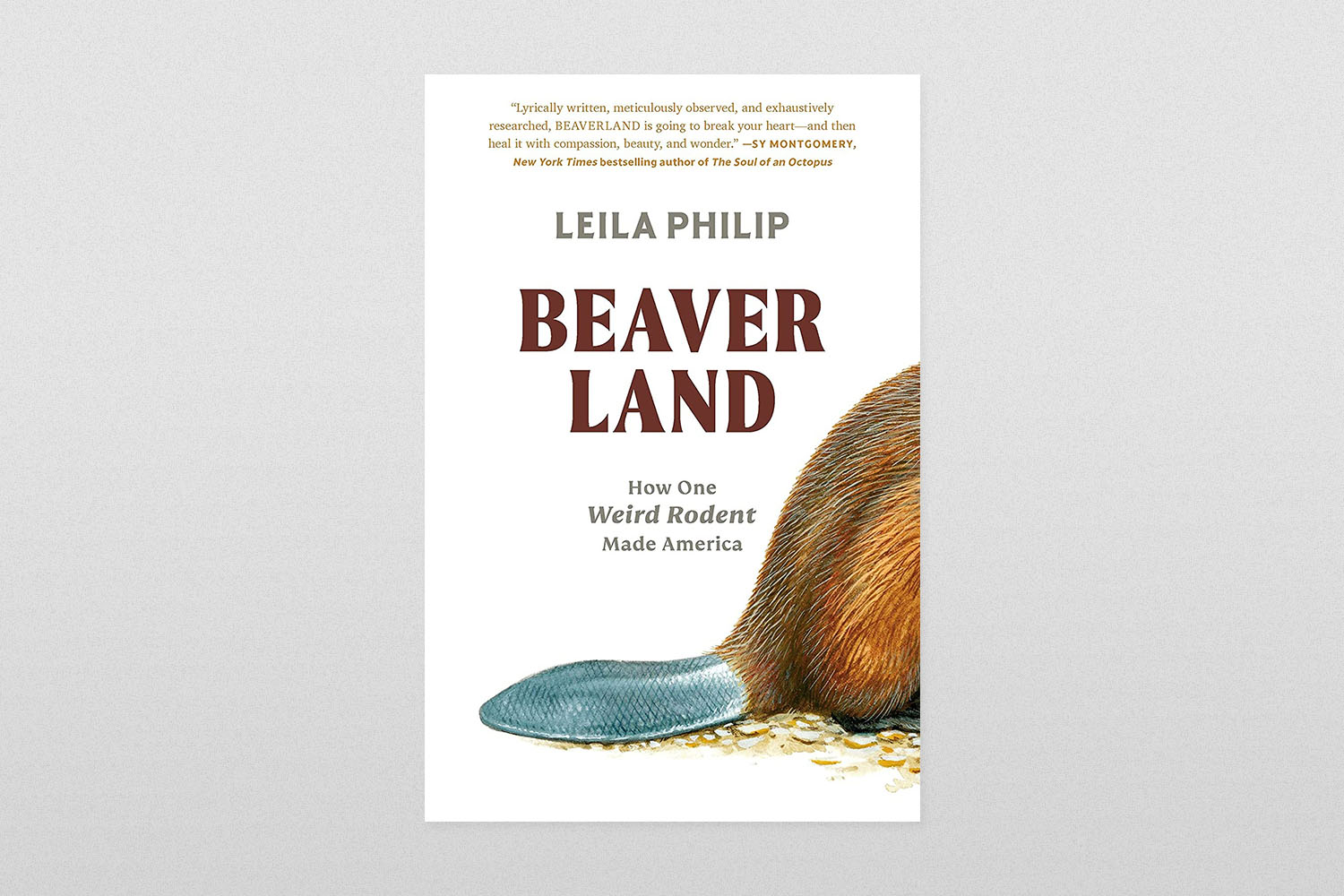 Beaverland by Leila Philip