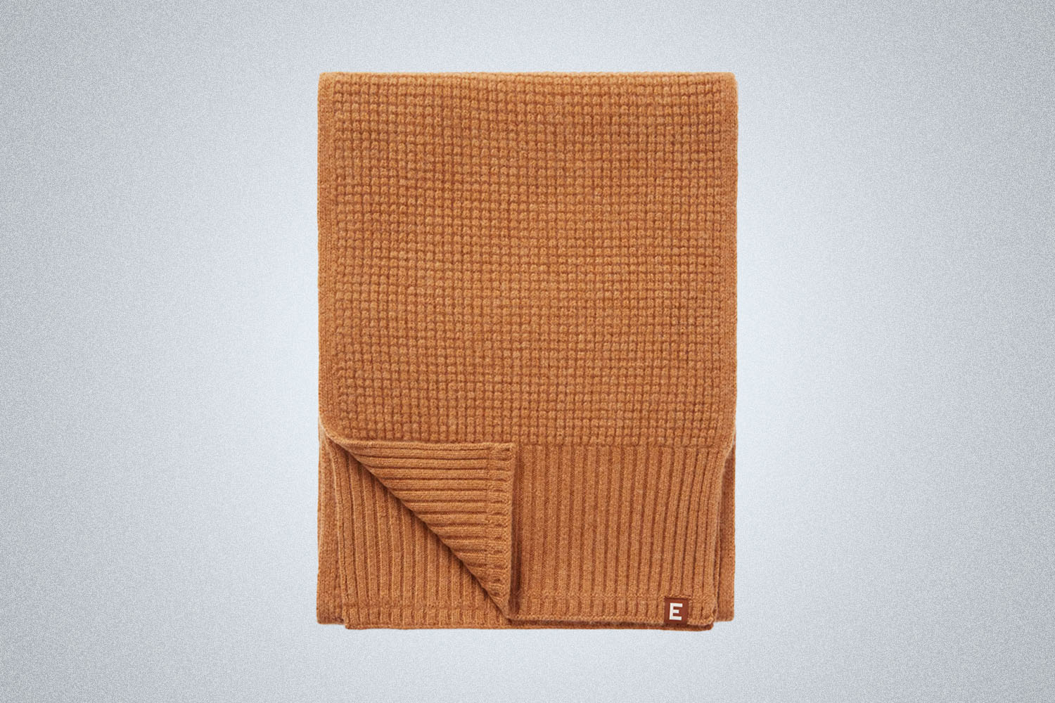 Everlane The Felted Merino Waffle-Knit Scarf