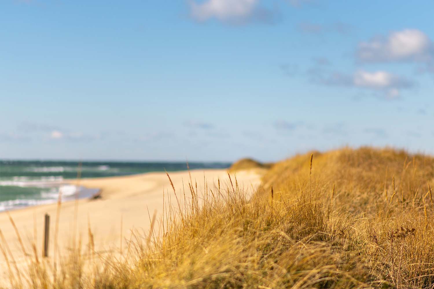 The beach in Nantucket with grass in the foreground and sand and waves in the background