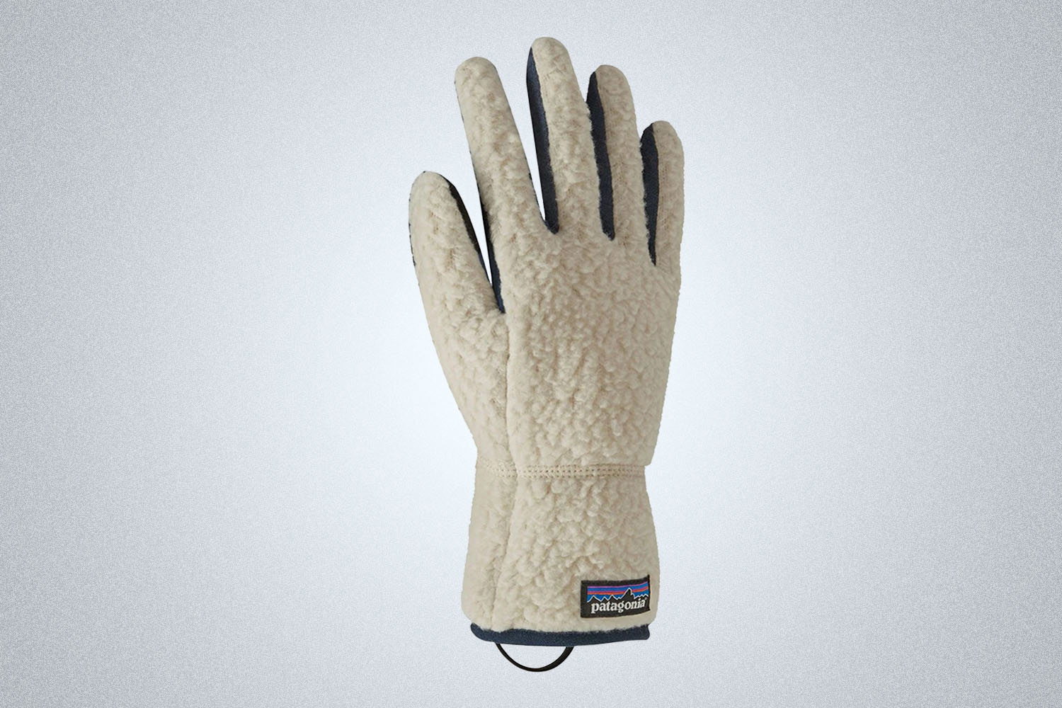 Patagonia Retro Pile Gloves