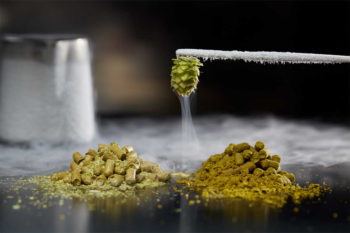 Cryo Hops and American Noble Hops from Yakima Chief Hops