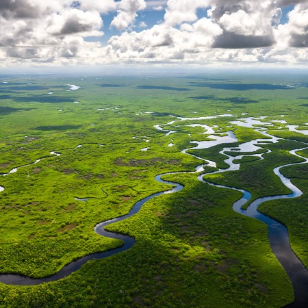 Aerial view of Everglades National Park in Florida