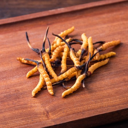 A sample of the cordyceps sinensis fungus.