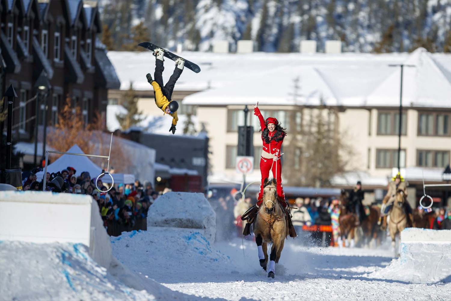 Skijoring