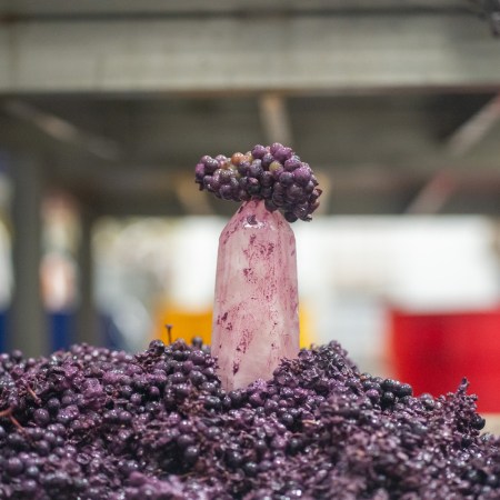 a quartz crystal sitting on a mound of red grapes at tank garage winery