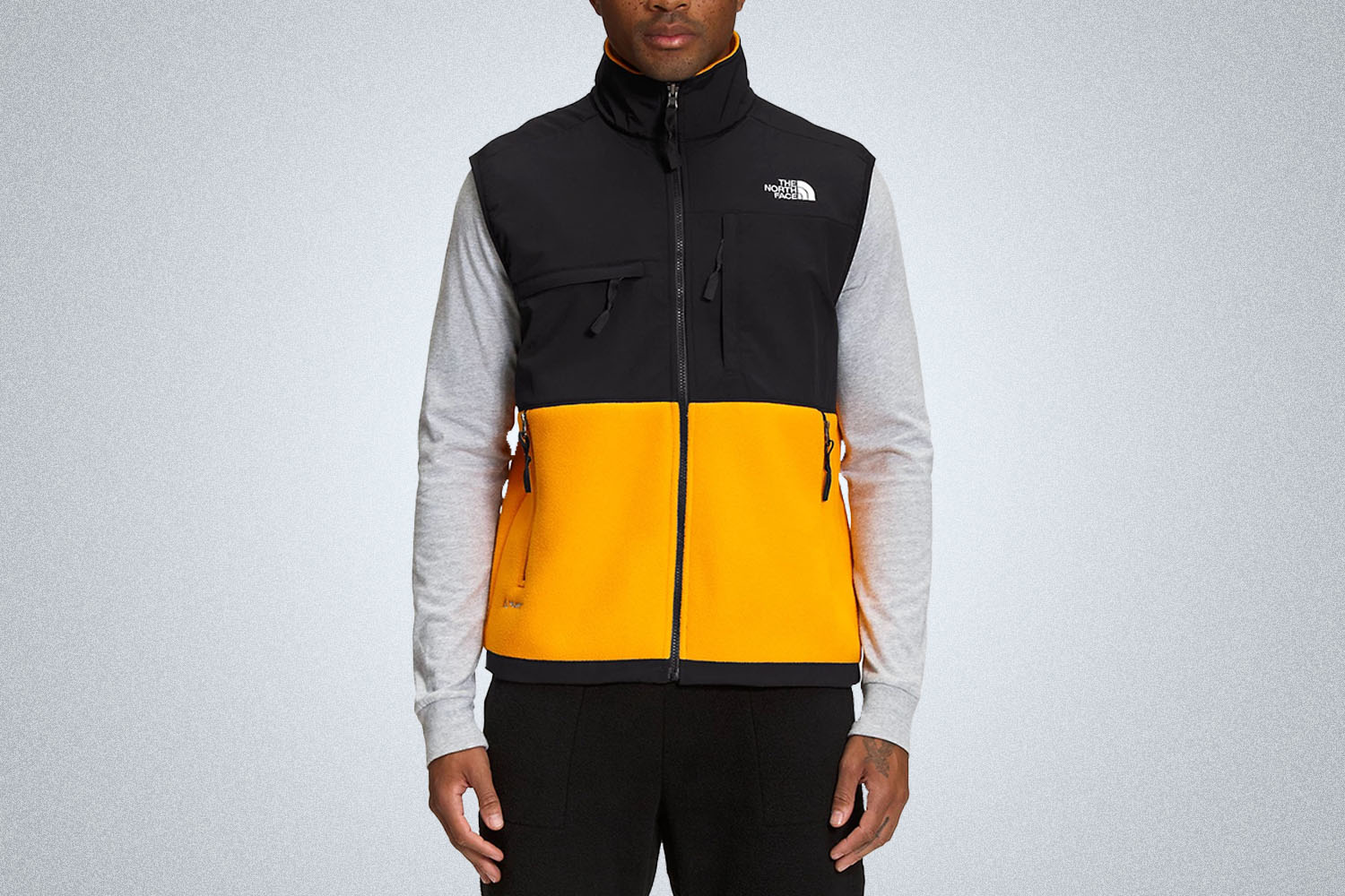 The North Face Denali Vest