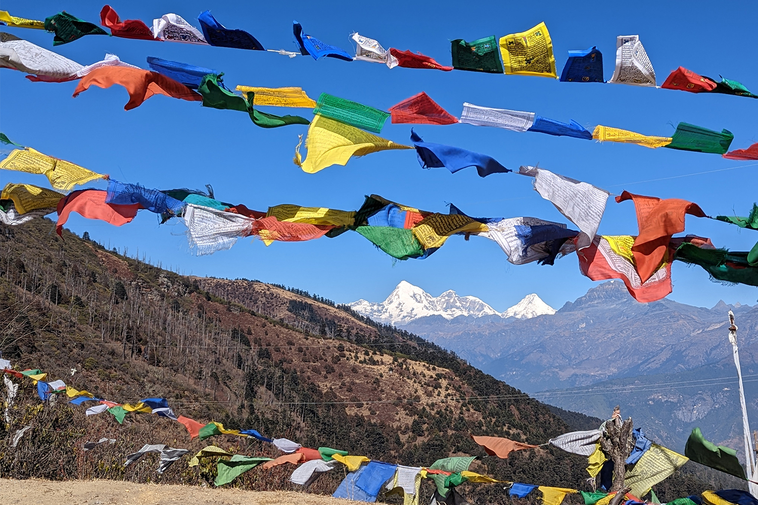 Prayer flags in Chelela Pass, the highest point in Bhutan you can reach by car.