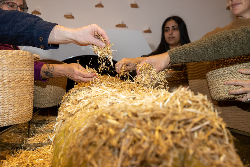 Human composting