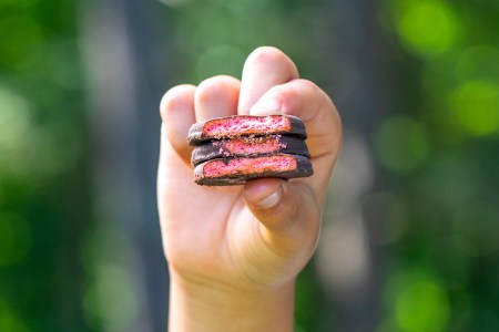 A Girl Scout holding up the new cookie for 2023: Raspberry Rally