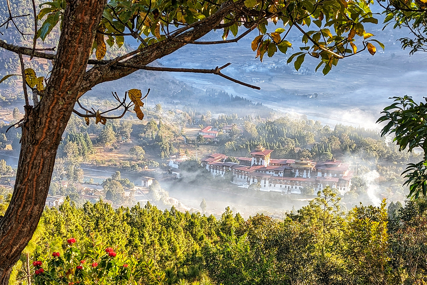 A view of the Punakha Dzong, one of Bhutan's most well-known tourist attractions, from Dhumra Farm Resort.