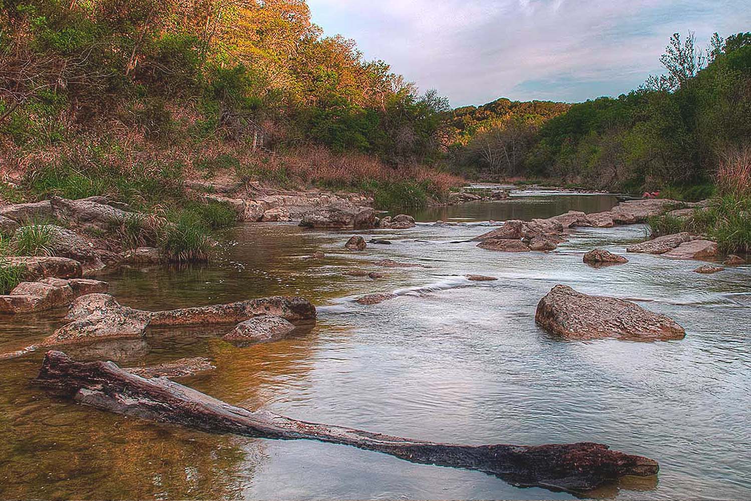 Dinosaur Valley State Park