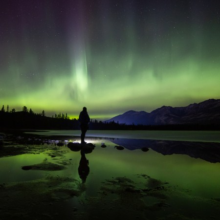 someone standing in front of purple and green northern lights