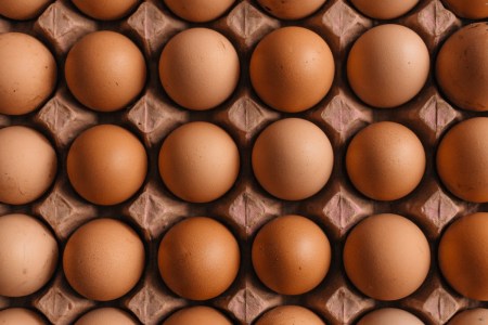 Eggs