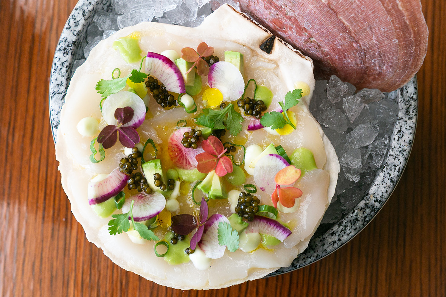 Scallop Crudo from Saltie Girl