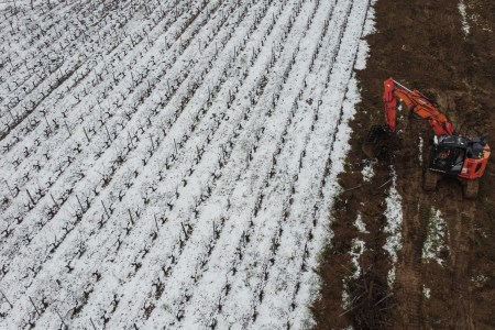 A Bordeaux vineyard covered in snow