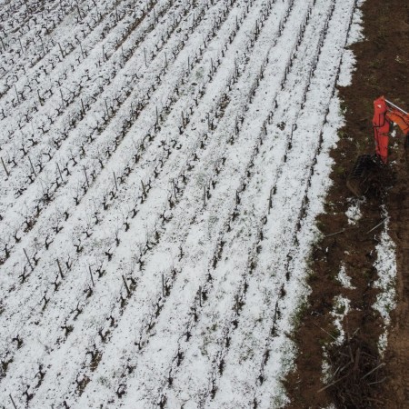 A Bordeaux vineyard covered in snow