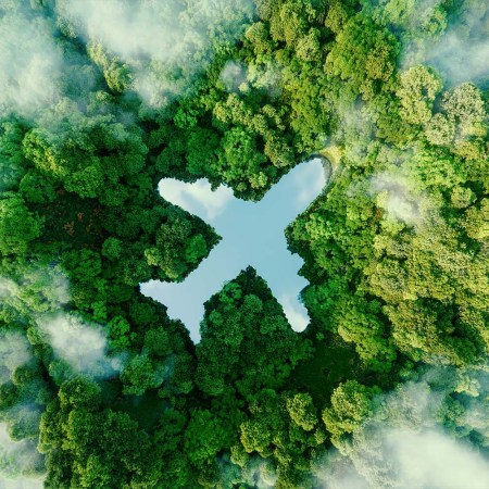 overhead image of a plane flying over trees