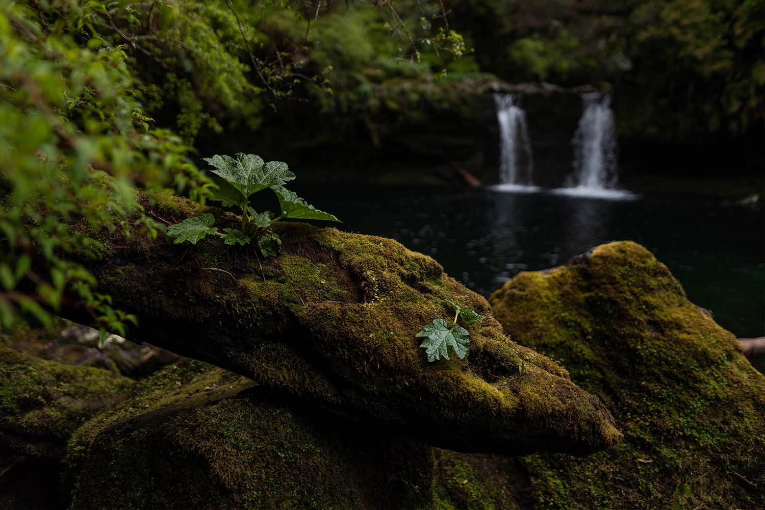 Waterfalls, of both the discovered and undiscovered variety, abound