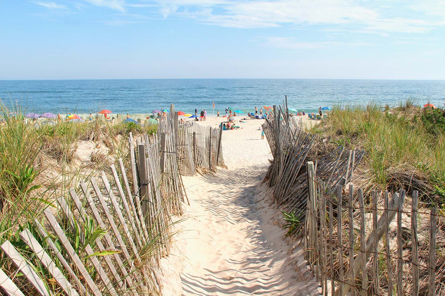 A beach in New York, where a flesh-eating bacteria is headed in the next 20 years or so