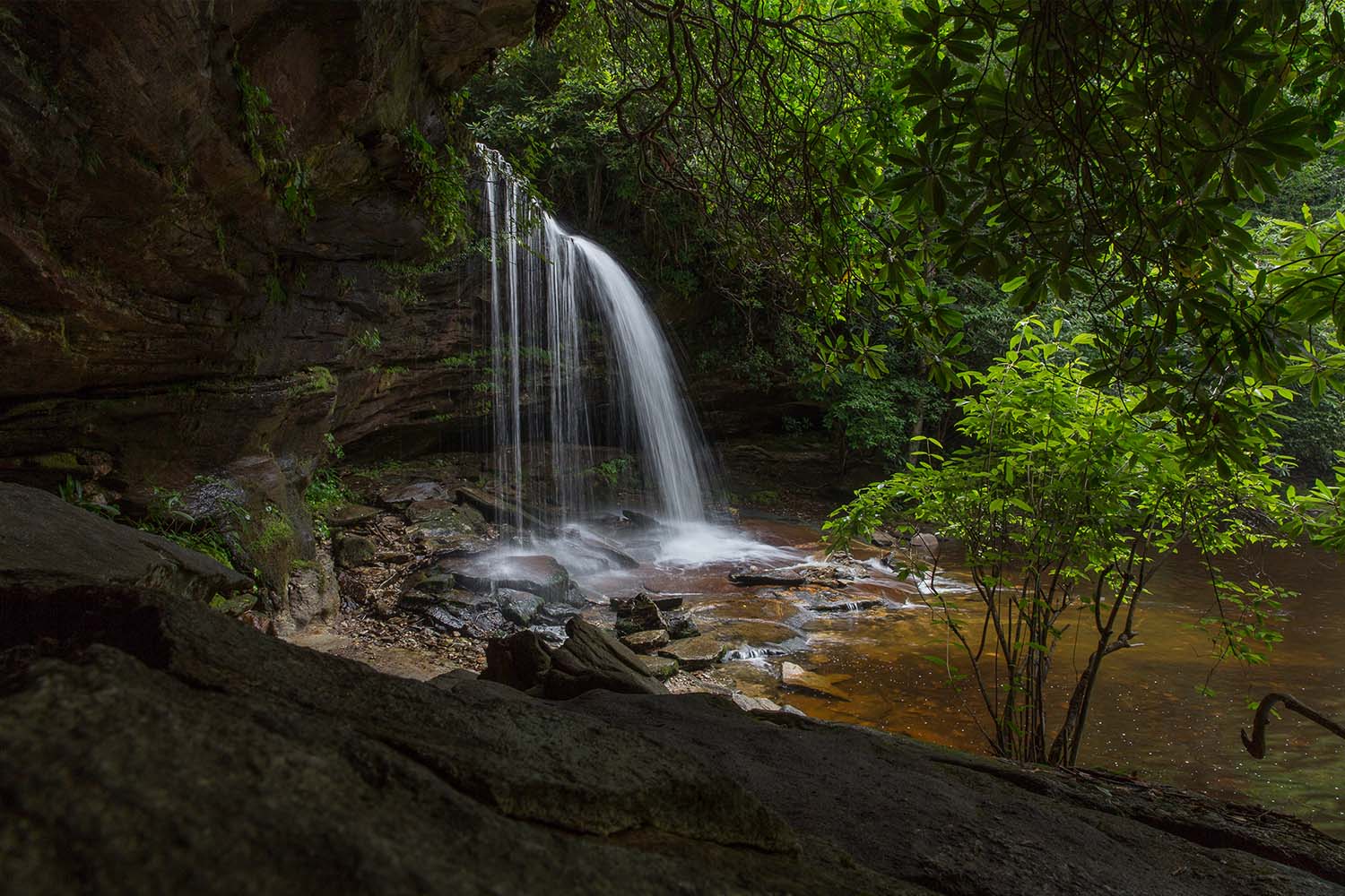 Panthertown Valley