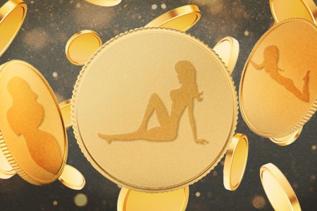 mudflap girl on a gold coin with gold coins surrounding it