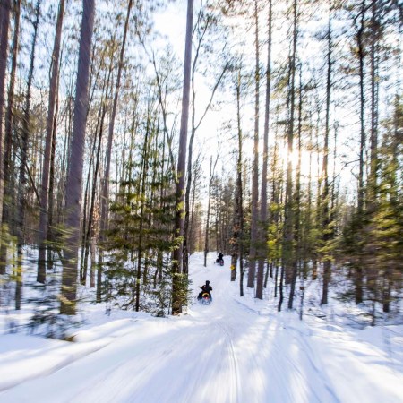 Snowmobilers in the woods in Oconto County